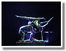 DSCF1120.JPG