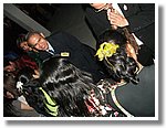 DSCF4307.JPG