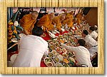 DSC_9423.JPG