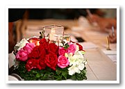 IMG_8456.JPG
