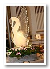 IMG_8740.JPG