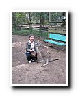 IMG_3228.JPG