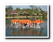 IMG_0265.JPG