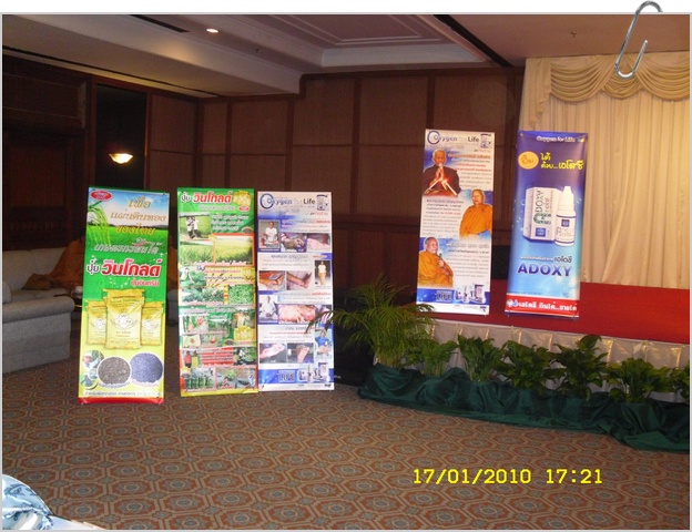 SDC12537.JPG