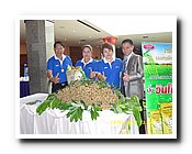 SDC12427.JPG