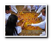 IMG_2726_resize.jpg