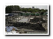 DSC_0106_resize.JPG
