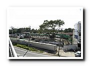 DSC_0123_resize.JPG