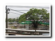 IMG_1651_resize.JPG