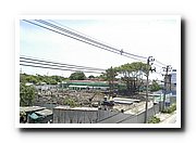 DSC_0233_resize.JPG