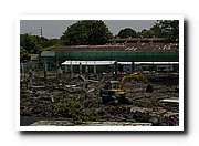 DSC_0243_resize.JPG