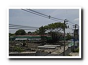 DSC_0247_resize.JPG