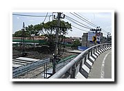 DSC_0268_resize.JPG