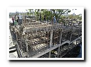 DSC_0242_resize.JPG