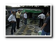 DSC_0146_resize.JPG