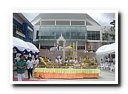 DSC_1062_resize.JPG