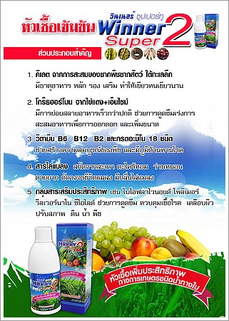 pui-09.jpg