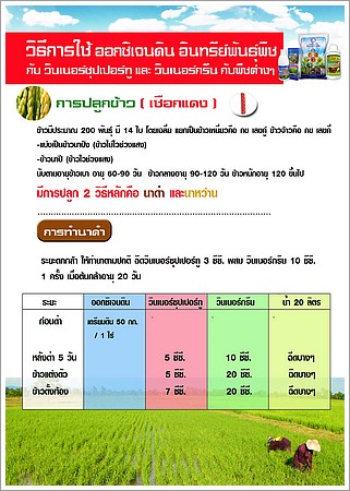 pui-10.jpg