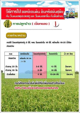 pui-11.jpg