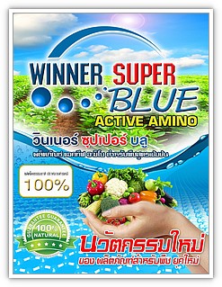 winnerblue winnerblue