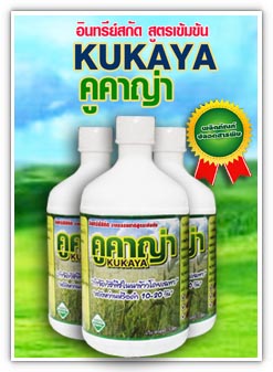 tn87-kukaya tn87-kukaya