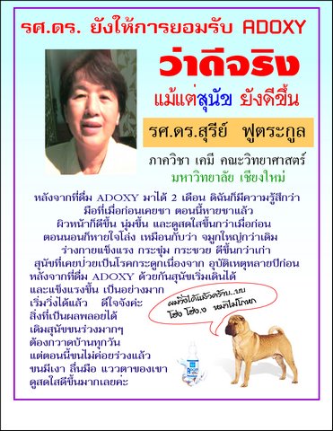 04-01.jpg