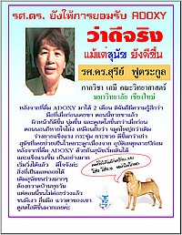 04-01.jpg